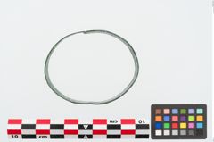 Foto von Bronzearmreif (NHMW-PRAE-024843)